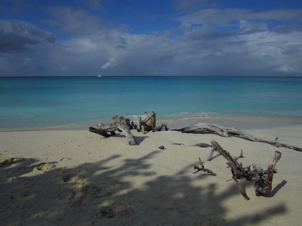 Antigua Chiama Italia Villas جولي هاربور الغرفة الصورة